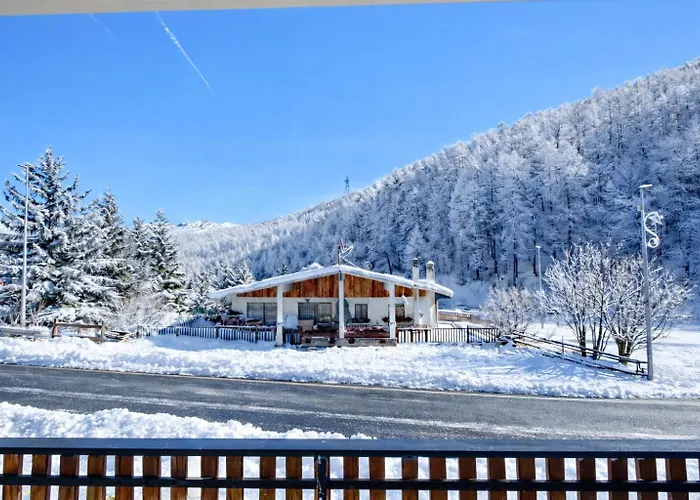 Hostdomus - Pepita * ססטריארה